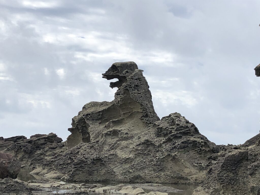 秋田県男鹿半島にあるゴジラ岩