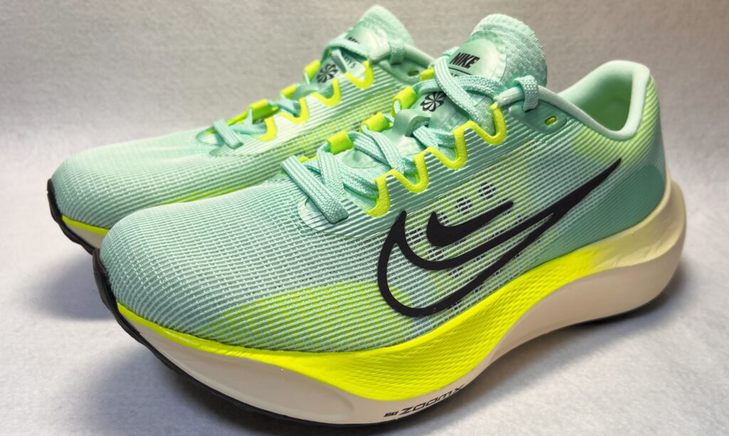 Nike ZOOM FLY5 ナイキズームフライ5 27.5cm - csihealth.net